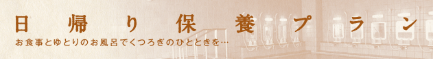 日帰り保養プラン